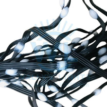 Load image into Gallery viewer, 4 Wire Dual Data 12v 200ct Seed Pixels Strand