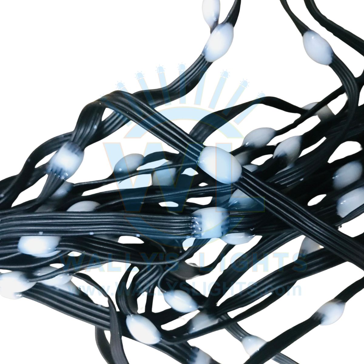 4 Wire Dual Data 12v 200ct Seed Pixels Strand – Wally's Lights LLC