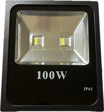 Load image into Gallery viewer, 100 Watt WRGB 12v Flood Light