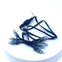 Load image into Gallery viewer, 9ct 12v Pixel Strand with 18" Pigtails