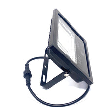 Load image into Gallery viewer, 20 Watt WRGB 12v Flood Light