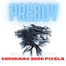 Load image into Gallery viewer, No Wait Prebuy Pro 12v WS2811 Fully Upgraded Resistor Bullet Pixel
