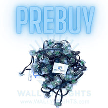 Load image into Gallery viewer, No Wait Prebuy 12v WS2811 100ct Square Node Pixels
