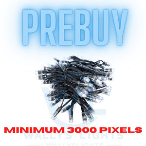 Prebuy Minimum 3000 Fully Upgraded 12v WS2811 Resistor Bullet Pixel