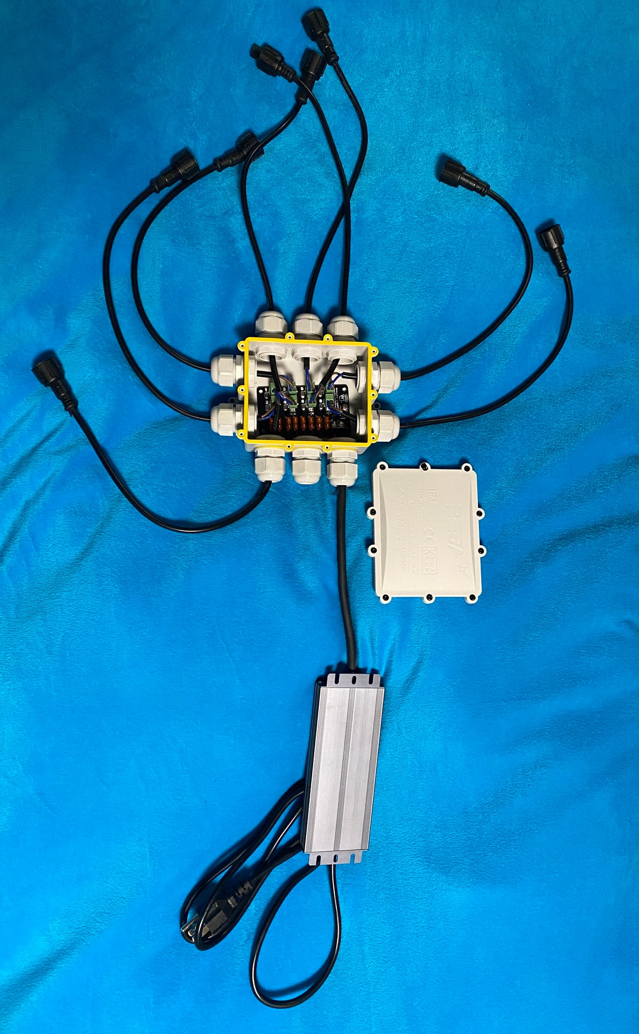 Wally Box Box 9 Port Enclosure Box Only – Wally's Lights LLC